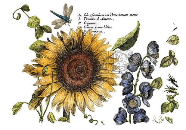 Botanist's Journal IOD Transfer 12x16 Pad