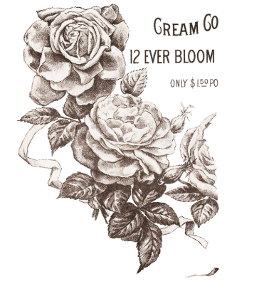 May's Roses IOD Transfer 12x16 Pad