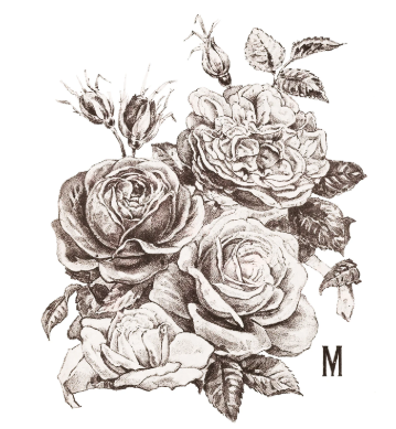 May's Roses IOD Transfer 12x16 Pad