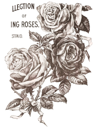May's Roses IOD Transfer 12x16 Pad