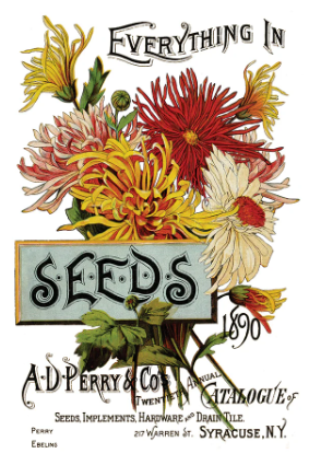 Seed Catalogue IOD Transfer 8x12 Pad