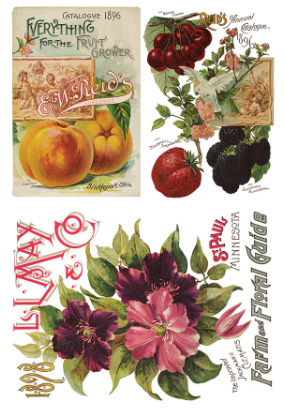 Seed Catalogue IOD Transfer 8x12 Pad