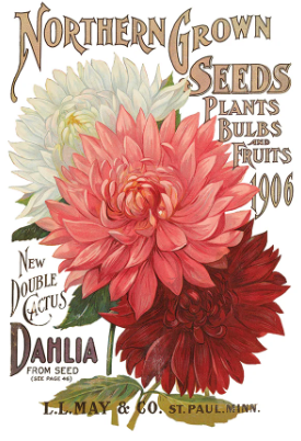 Seed Catalogue IOD Transfer 8x12 Pad