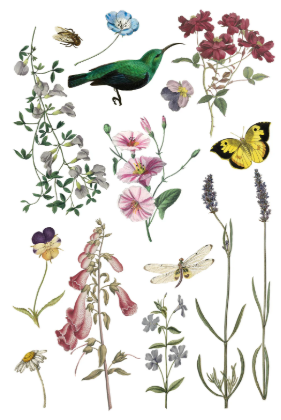 Wilde Bloemen IOD Transfer 8x12 Pad™