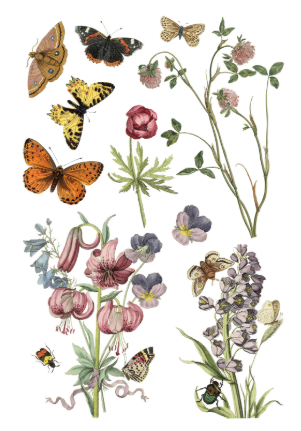 Wilde Bloemen IOD Transfer 8x12 Pad™