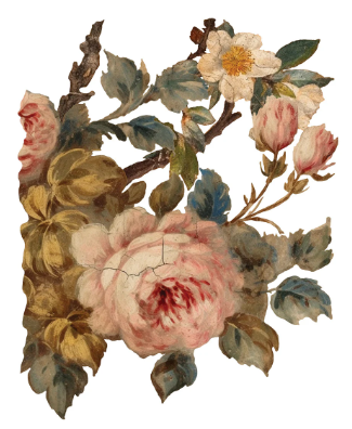 Joie des Roses IOD Transfer 12x16 Pad™