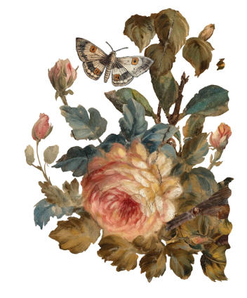Joie des Roses IOD Transfer 12x16 Pad™
