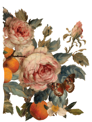 Joie des Roses IOD Transfer 12x16 Pad™