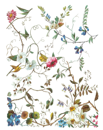 Lost Garden IOD Transfer 12x16 Pad™