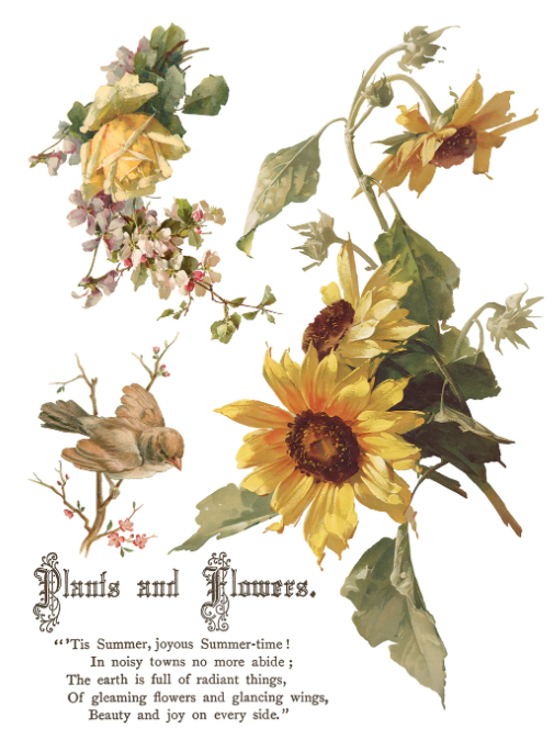 Flowers by the Poets IOD Transfer 12x16 Pad™