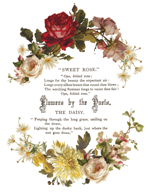Flowers by the Poets IOD Transfer 12x16 Pad™