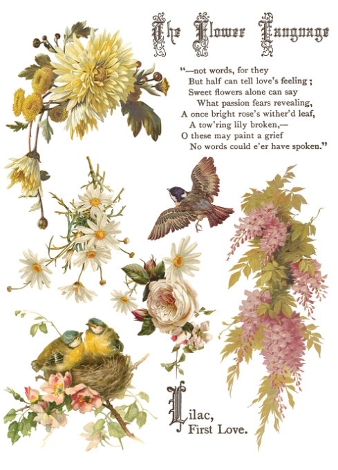 Flowers by the Poets IOD Transfer 12x16 Pad™