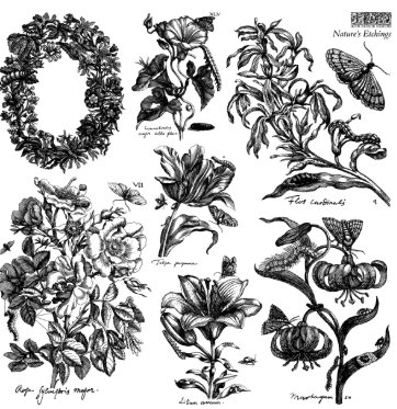 Nature's Etchings 12x12 IOD Stamp 2 Sheets™