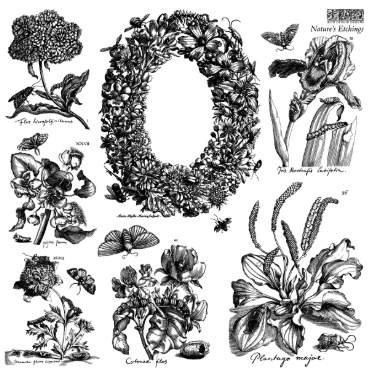 Nature's Etchings 12x12 IOD Stamp 2 Sheets™