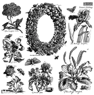 Nature's Etchings 12x12 IOD Stamp 2 Sheets™