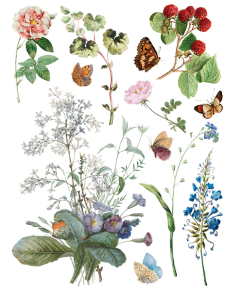 Marché des Fleurs IOD Transfer 12x16 Pad™