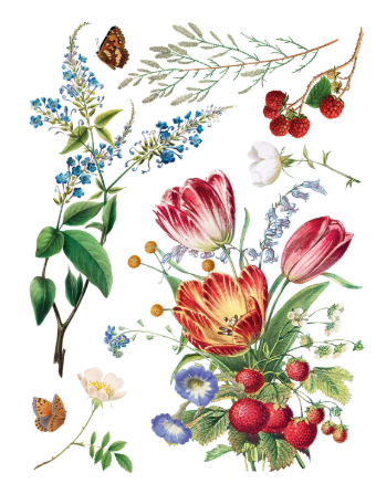 Marché des Fleurs IOD Transfer 12x16 Pad™
