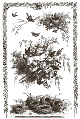 Little Lark IOD Paint Inlay 8x12 Pad™