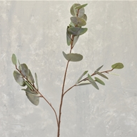 Soft Touch Silver Dollar Eucalyptus Spray 32"