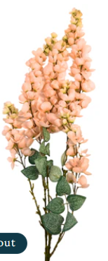 hanging garden wisteria branch