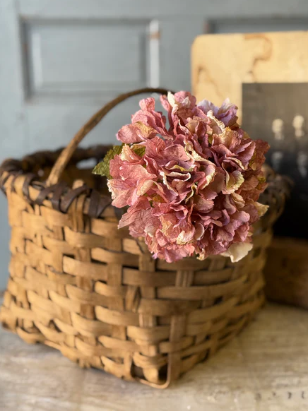 Revival Hydrangea | 20"