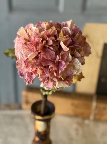 Revival Hydrangea | 20"