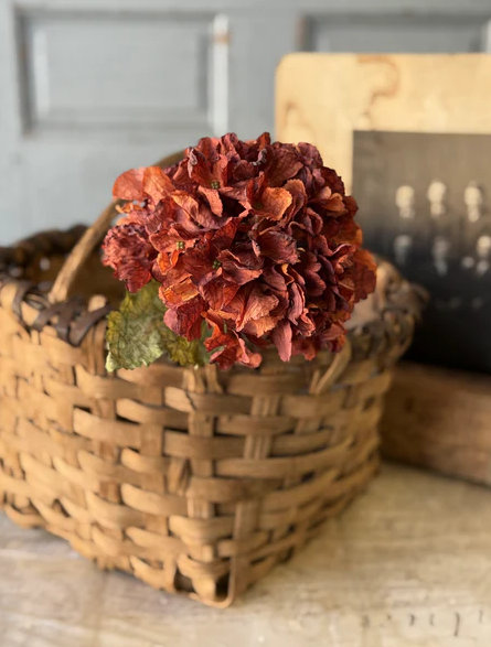 Revival Hydrangea | 20"