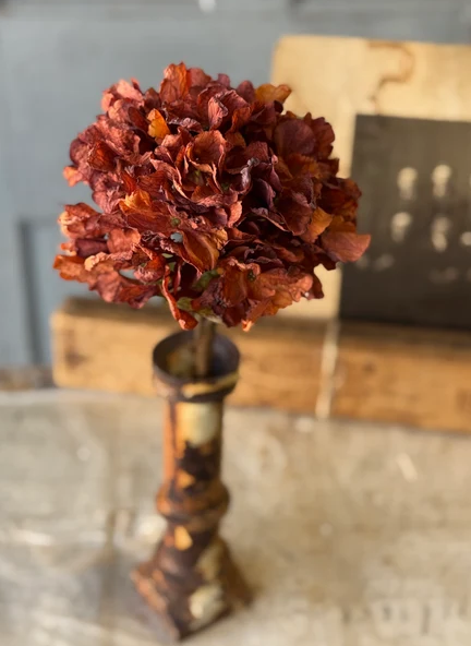 Revival Hydrangea | 20"