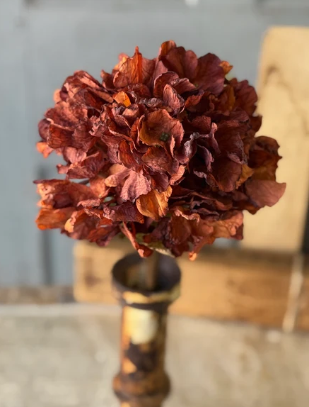 Revival Hydrangea | 20"