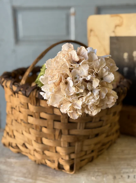 Revival Hydrangea | 20"