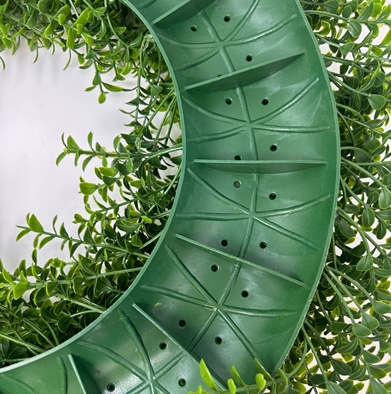 European Boxwood wreath 18"