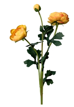 Caressed sunrise triple ranunculus spray  23"