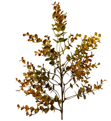 Autumn Boxwood Pick 21" - 4 stems