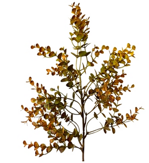 Autumn Boxwood Pick 21" - 4 stems