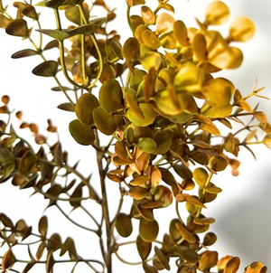 Autumn Boxwood Pick 21" - 4 stems