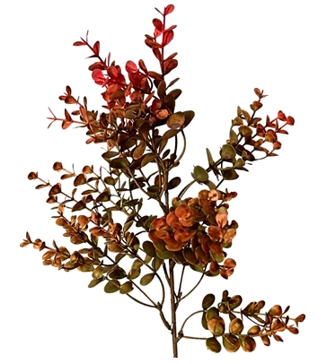 Autumn Boxwood Pick 21" - 4 stems