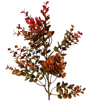 Autumn Boxwood Pick 21" - 4 stems