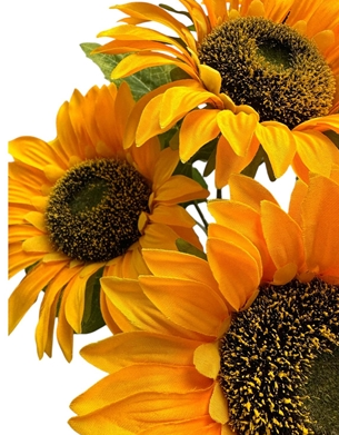 Farm Sunflower Bush X 7 - 18'' Yellow