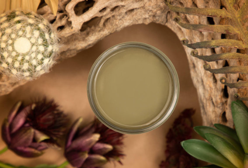 Silk All-In-One Mineral Paint in Cactus