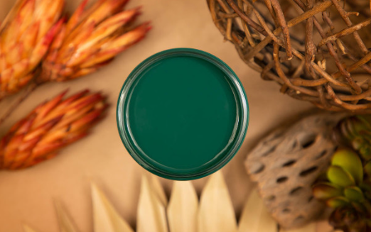 Silk All-In-One Mineral Paint in Midnight Green