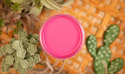 Silk All-In-One Mineral Paint in Prickly Pear