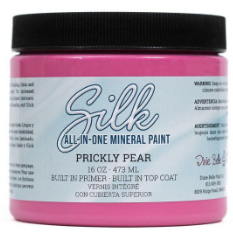 Silk All-In-One Mineral Paint in Prickly Pear