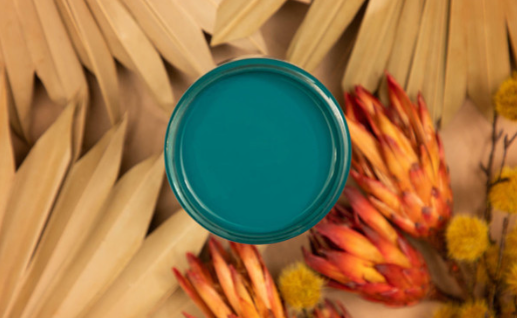 Silk All-In-One Mineral Paint in Oasis