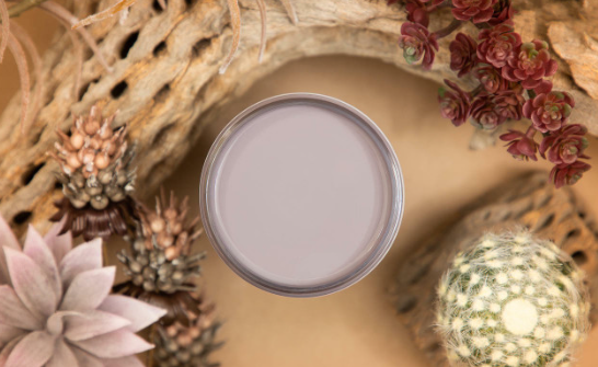 Silk All-In-One Mineral Paint in Morning Sunrise