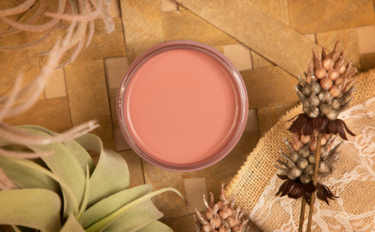 Silk All-In-One Mineral Paint in Desert Rose