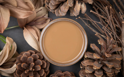 Chalk Mineral Paint - Pine Cone