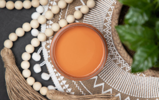Chalk Mineral Paint - Terracotta