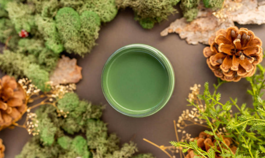 Chalk Mineral Paint - English Ivy