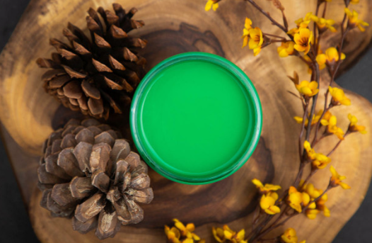 Chalk Mineral Paint - Tree Frog Green