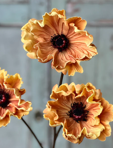 29" Pomelo Poppies - Golden